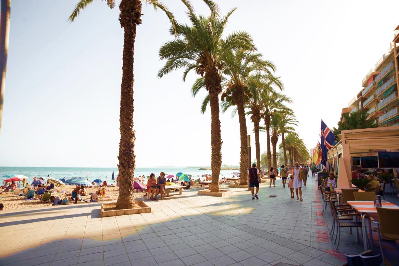 Holiday Studio Jardin Playa トレビエハ エクステリア 写真